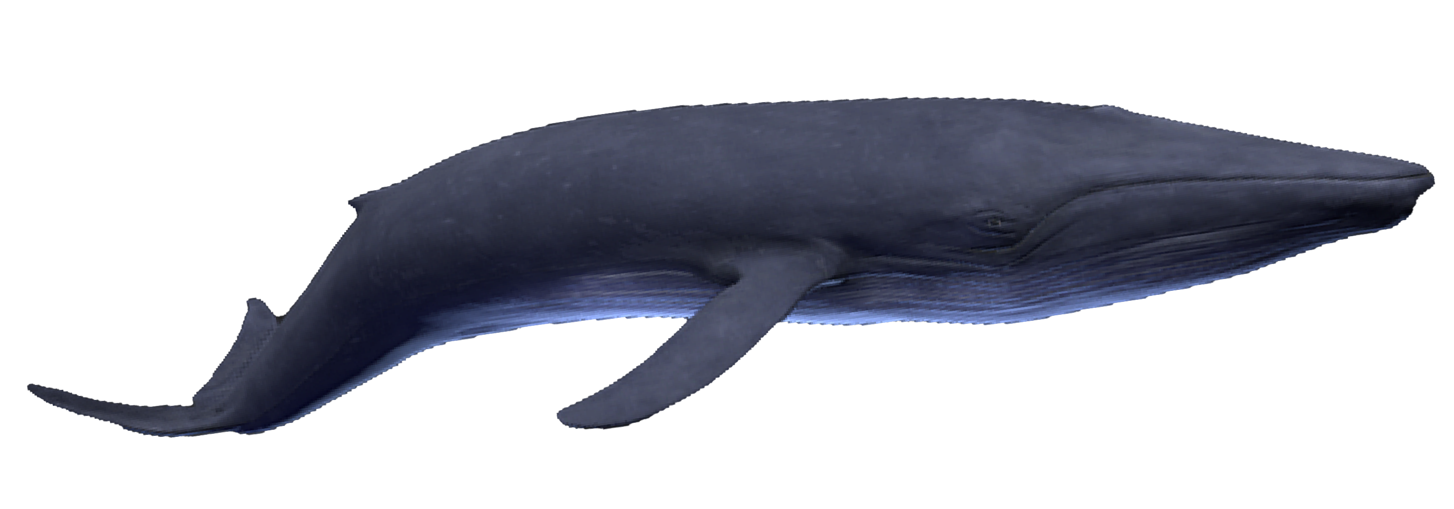 グラビティ